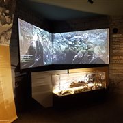 Museo Monte San Michele, sala espositiva multimediale